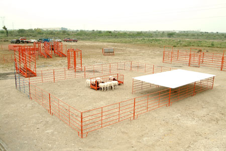 Corral Borreguero